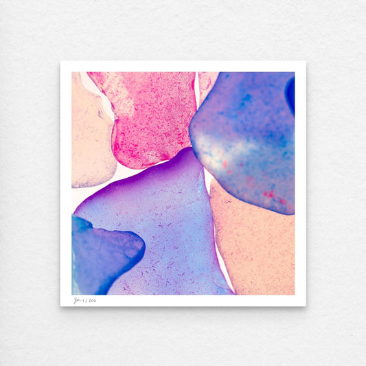 Pop Glasses – Neon contemporary wall art photography print by Jeanne Le Menn