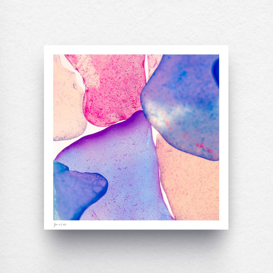 Pop Glasses – Neon contemporary fine art photography print by Jeanne Le Menn
