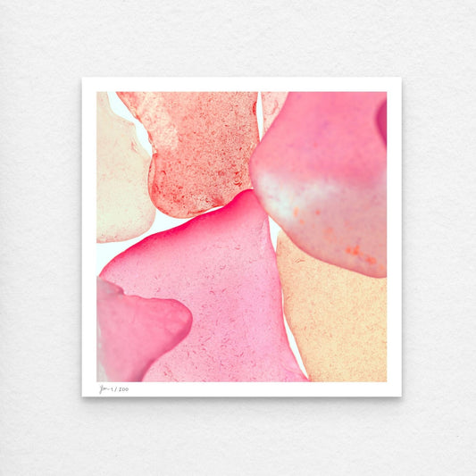 Pop Glasses – Blush contemporary wall art photography print by Jeanne Le Menn